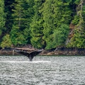 201806 Alaska-173 