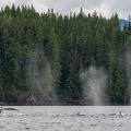 201806 Alaska-165 