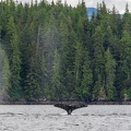 201806 Alaska-166 