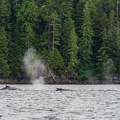 201806 Alaska-168 