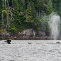 201806 Alaska-169 