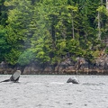201806 Alaska-170 