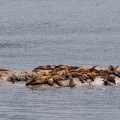 South Marble Island