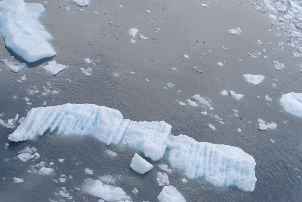 201806 Alaska-528 iceberg.jpg