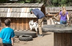goat in petting zoo