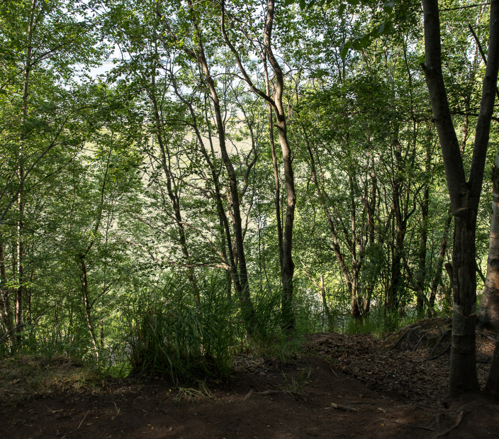 edge of the earthquake collapse