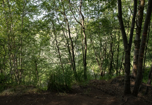 edge of the earthquake collapse