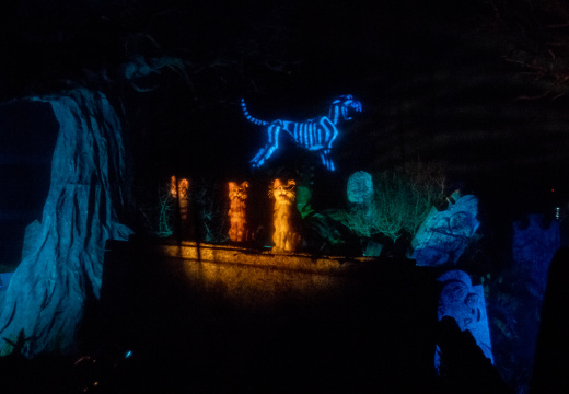 Graveyard cats and hellhound