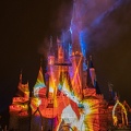 WDW201808-065 