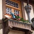 WDW201808-103 