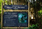 Welcome to Valley of Mo'ara