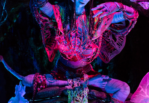 Na'vi Shaman of Songs