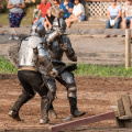 The Joust