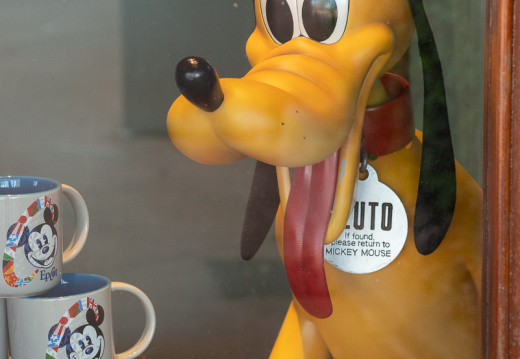 Pluto in gift shop
