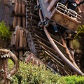 Everest ride