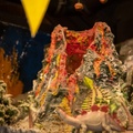 Volcano in Dinosaur Treasures