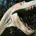 Dinosaur