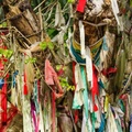 Prayer tree