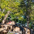 Tank by exit of Indiana Jones Stunt Show