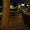 Behind Wilderness Lodge