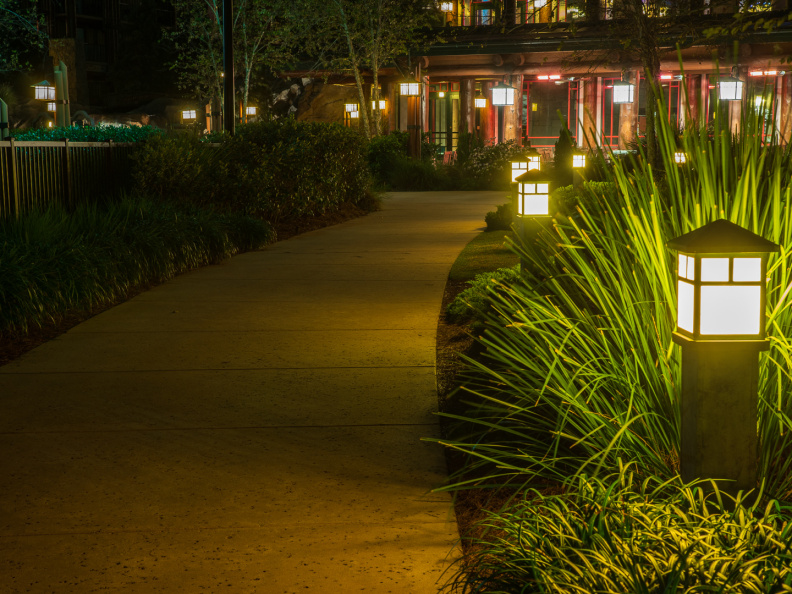 Behind Wilderness Lodge