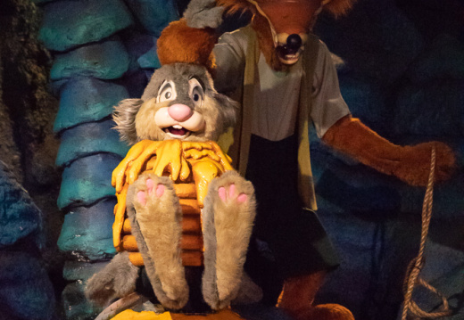 Splash Mountain on-ride