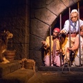 Pirates on-ride