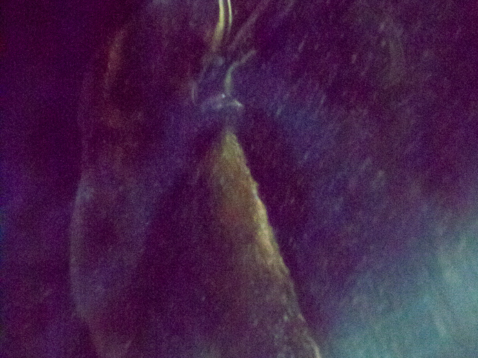 Spaceship Earth on-ride