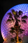Spaceship Earth and tree