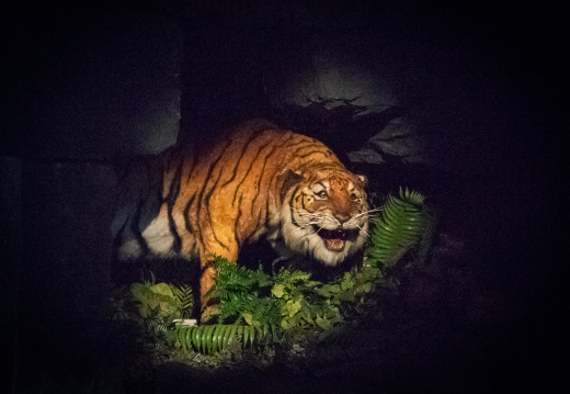 Jungle Cruise on-ride