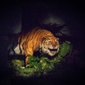 Jungle Cruise on-ride