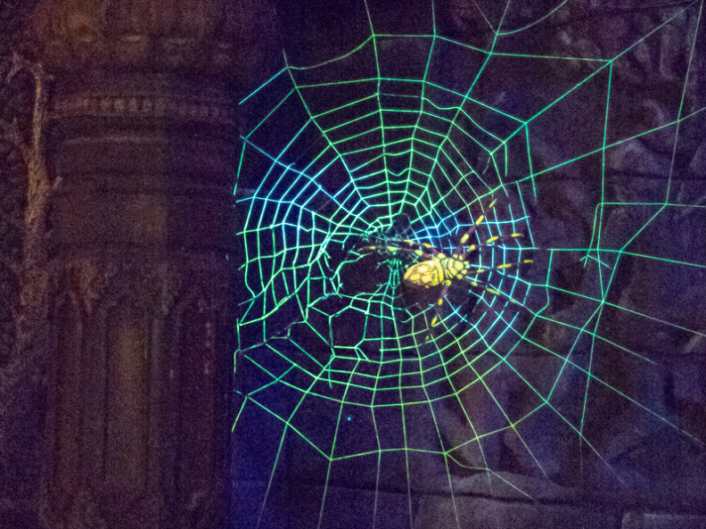 Jungle Cruise on-ride