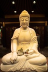 Buddha with money