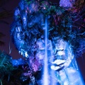 Pandora at night