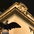 NYC2009-069
