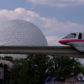 WDW2008-300