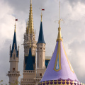WDW2008-084