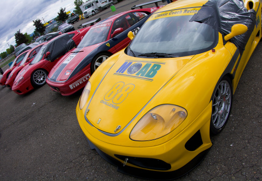 ArtOfFerrari2010-013