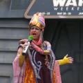 WDW2010SWW-029