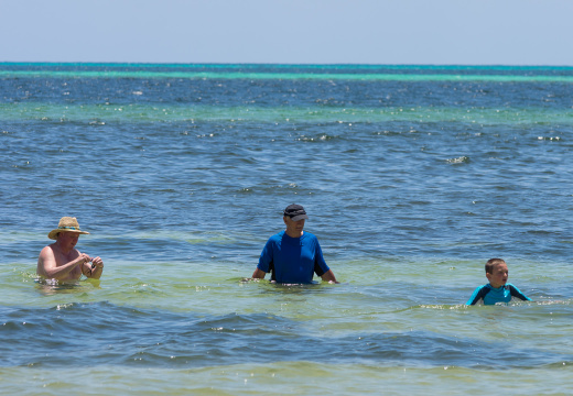 Cancun201404-258
