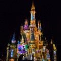 WDW201206-117