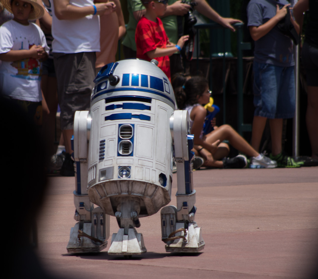 WDW201206-051