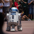 WDW201206-051