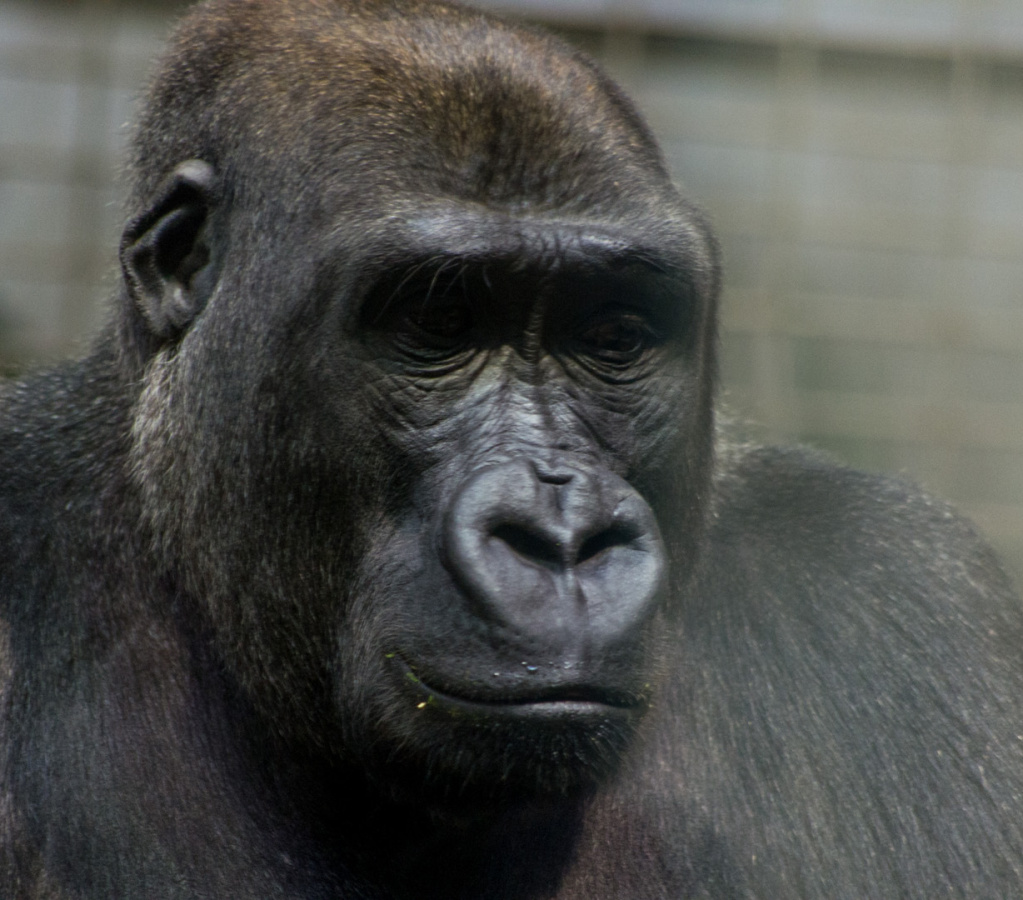 WashingtonDC201207-044