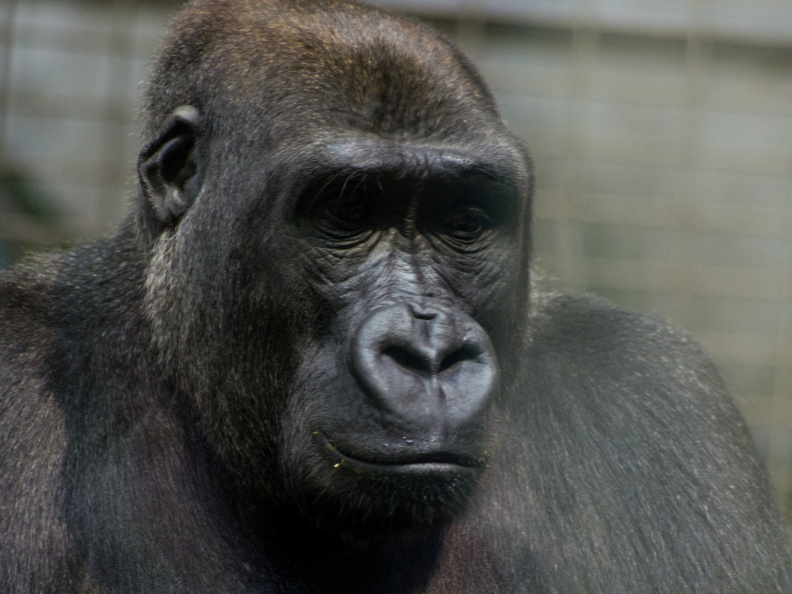 WashingtonDC201207-044