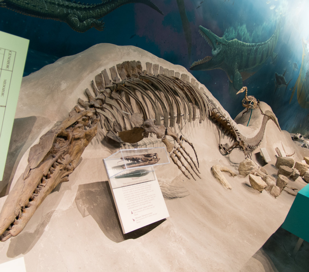 WashingtonDC201207-005