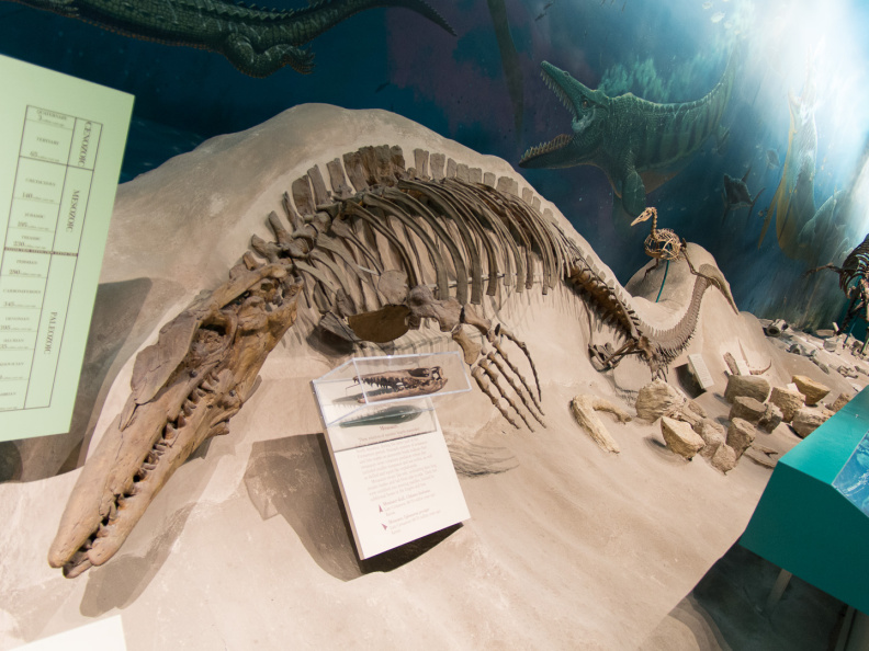 WashingtonDC201207-005