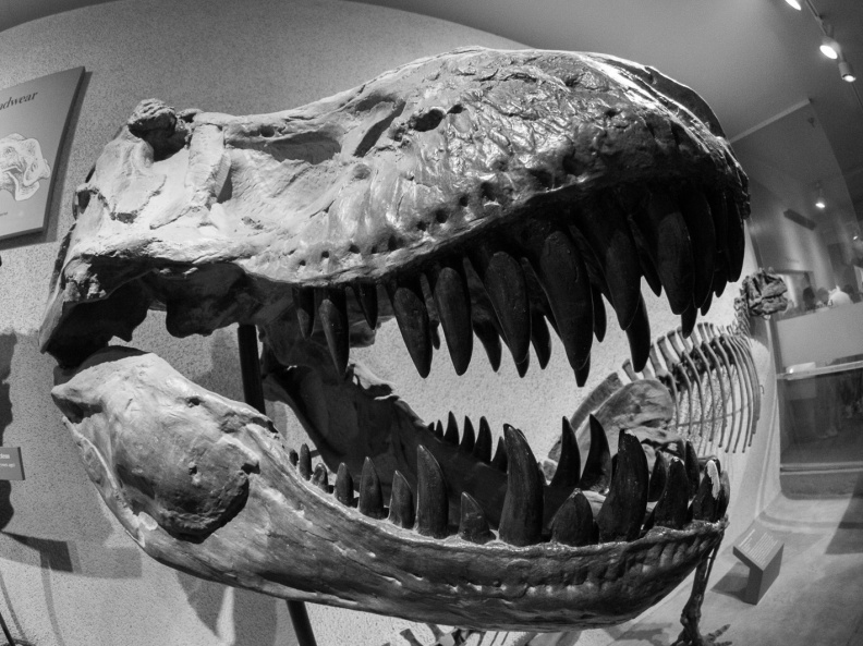 WashingtonDC201207-004