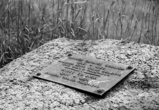 WatkinsGlen-120721-14