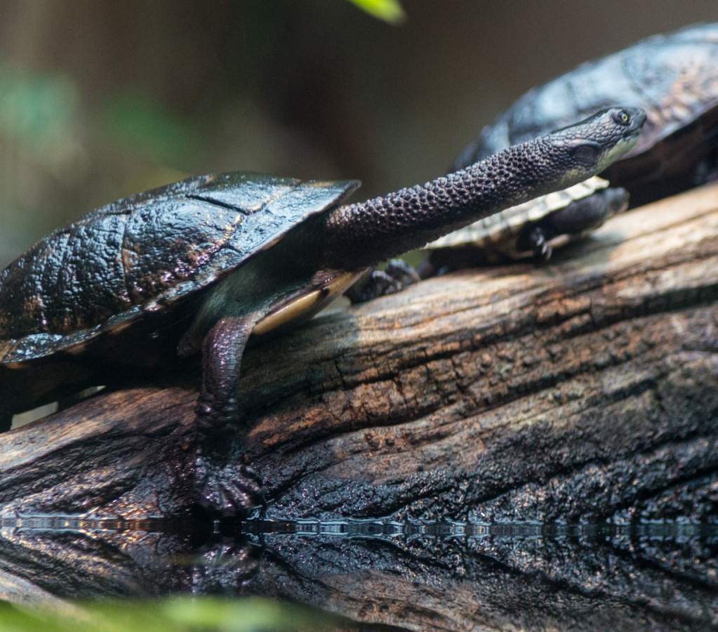 WashingtonDC201207-041